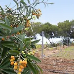 Διαμέρισμα Casa Munay *