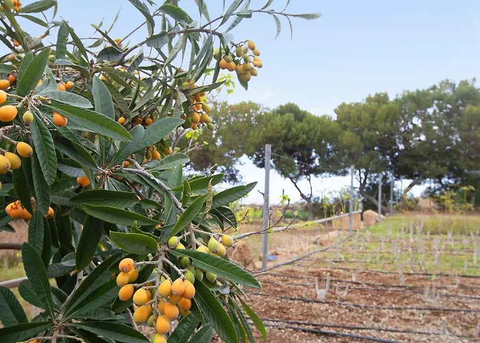 Appartement Casa Munay *